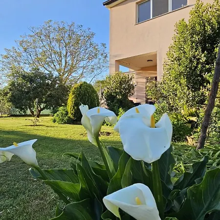 Da Vjeri Appartamento Pola