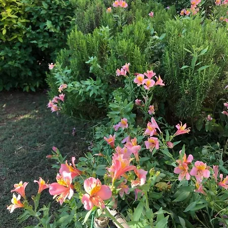 Apartamento Da Vjeri *