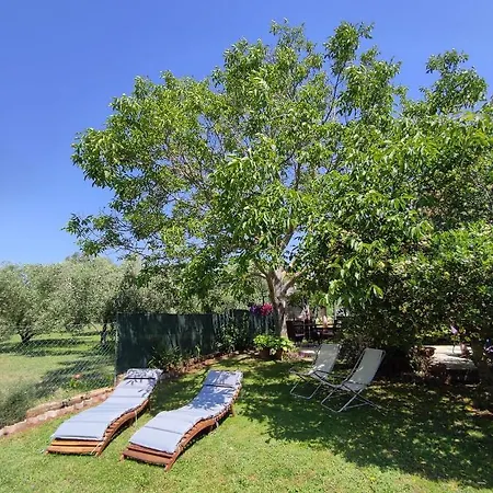 Apartament Da Vjeri *