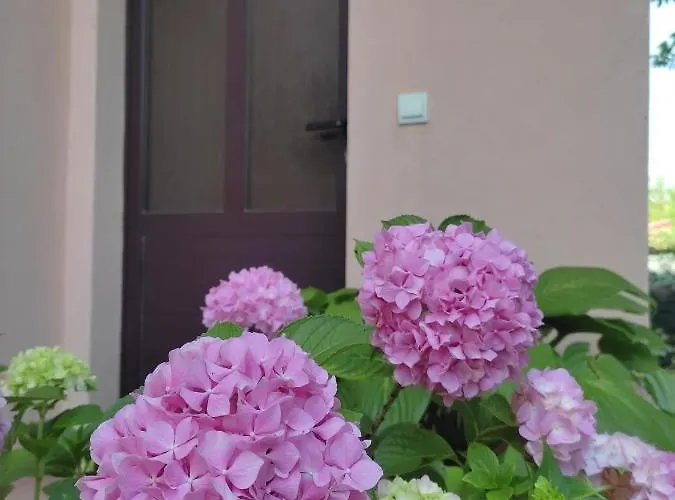 Da Vjeri Appartement *