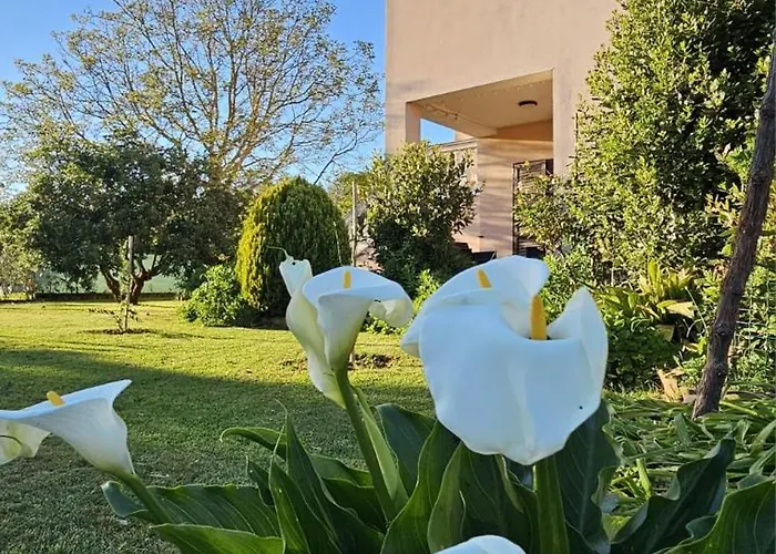 Da Vjeri Apartman Pula